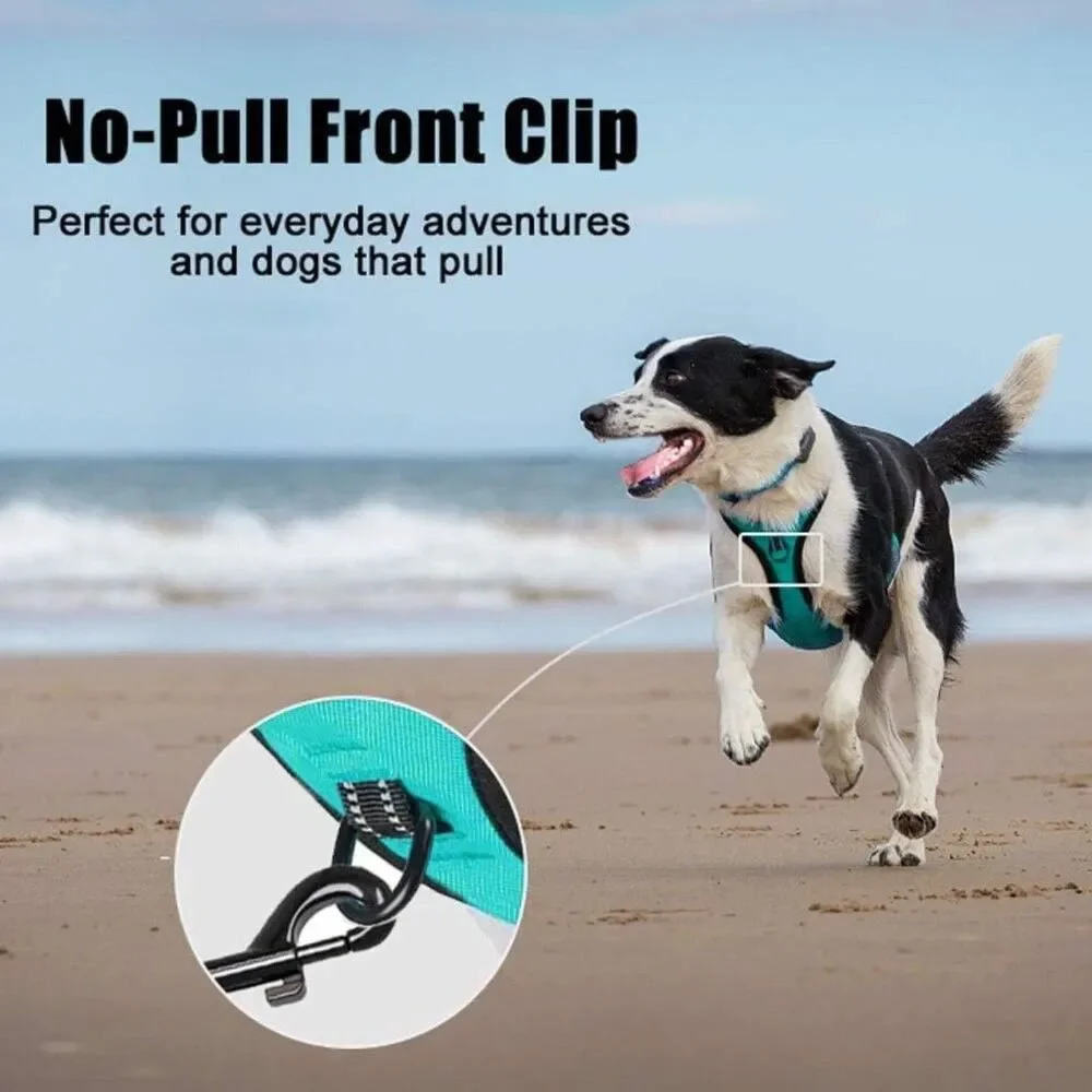 Dog Harness - Size Medium - New